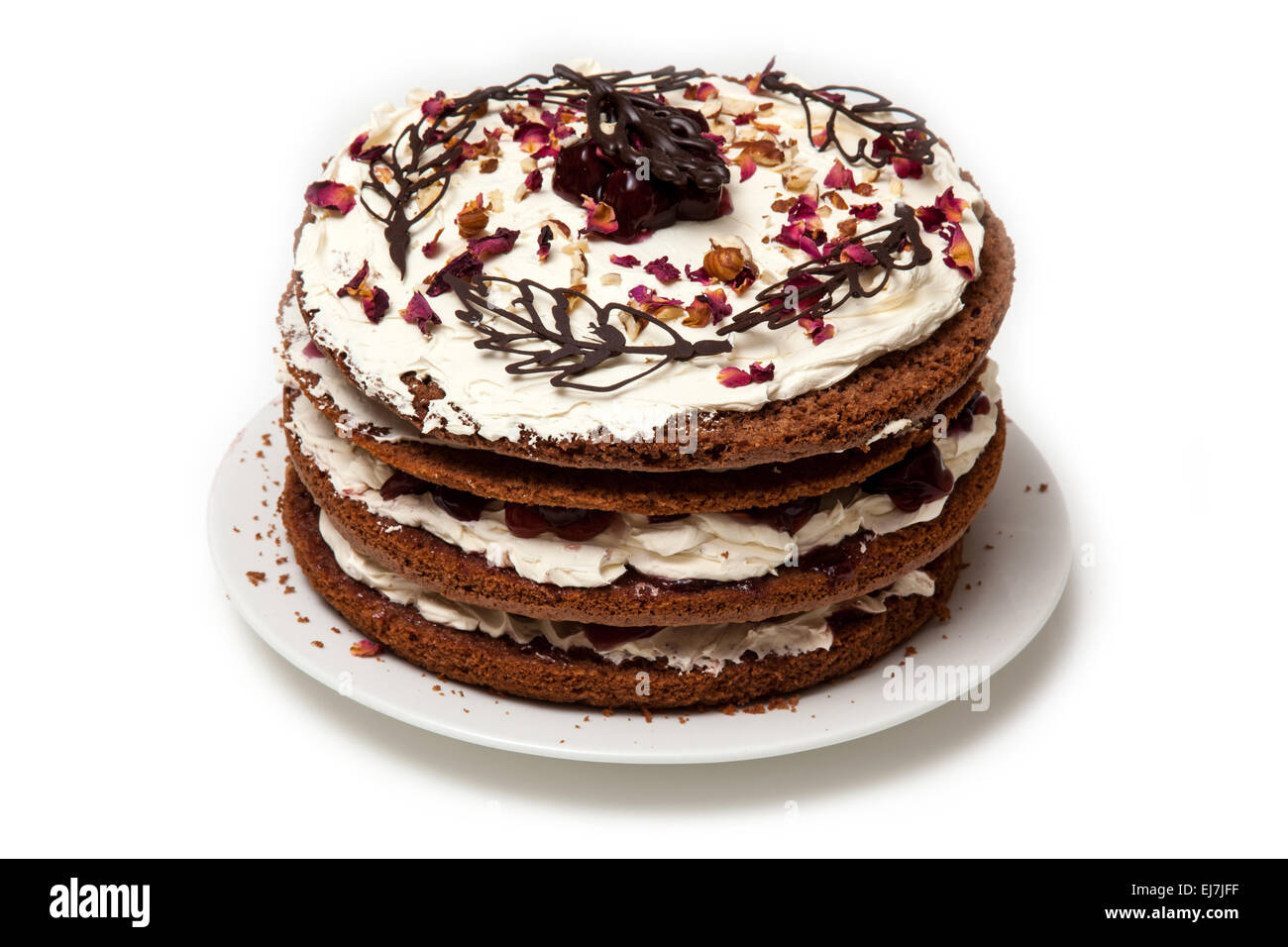 Black Forest Gateau High Resolution Stock Photography And Images Alamy Black Forest Gateau High Resolution Stock Photography And Images Alamy