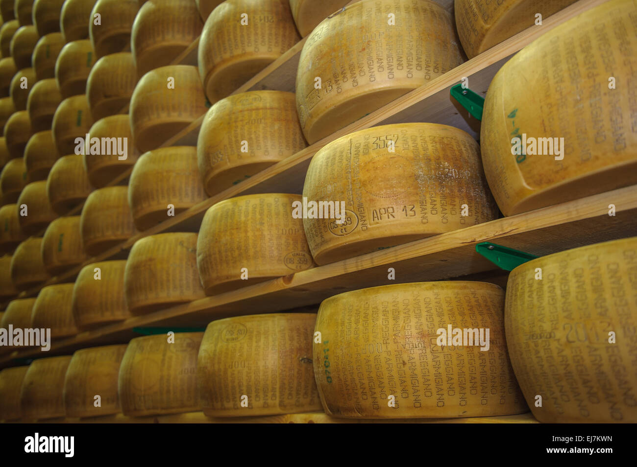 Wheels of parmesan cheese at dairy Stock Photo Alamy