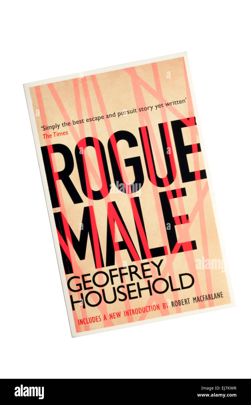 A paperback copy of Rogue Male by Geoffrey Household. Stock Photo