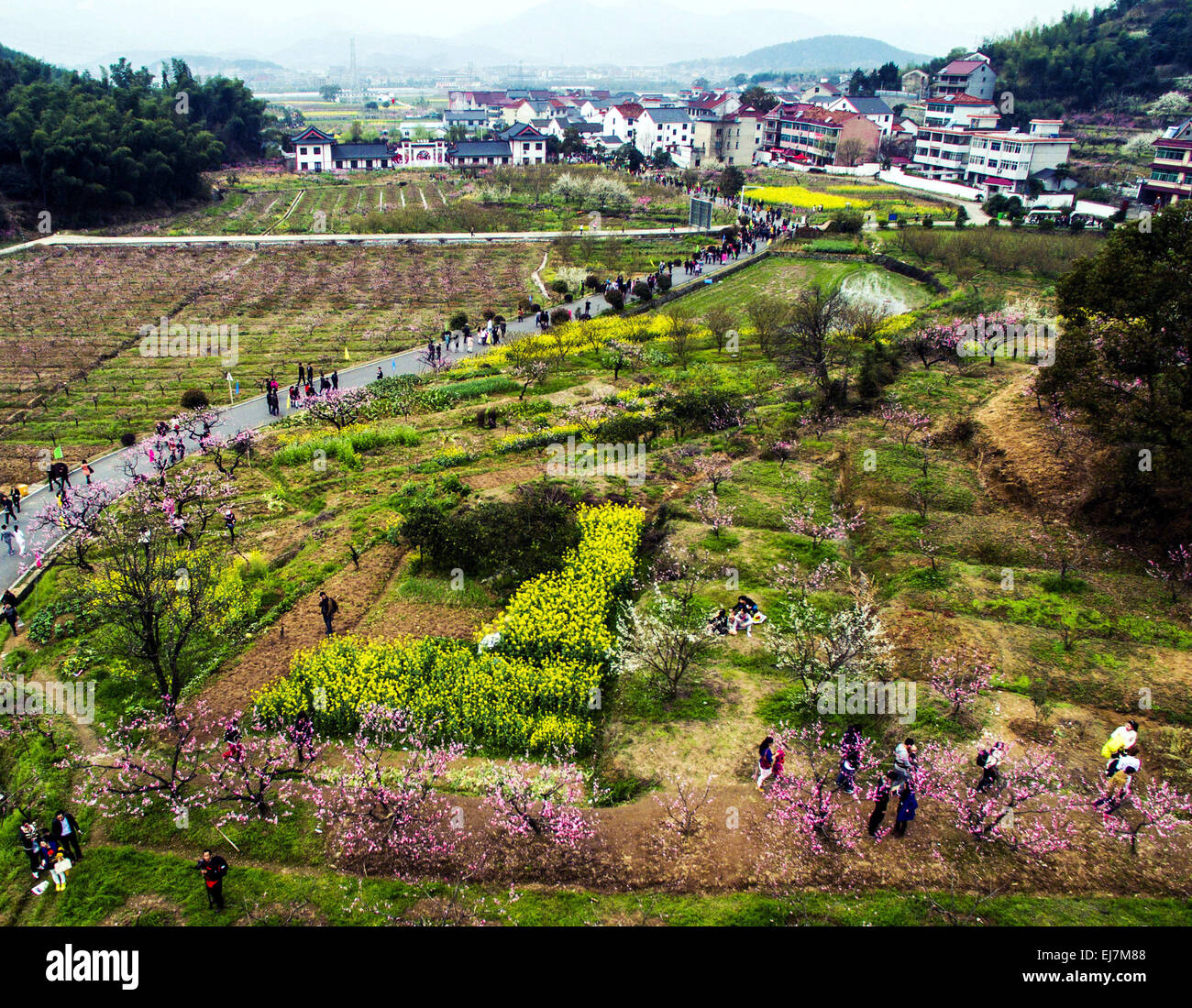 Hangzhou, China's Zhejiang Province. 23rd Mar, 2015. People visit the Yangshanfan Village in Tonglu County of Hangzhou City, capital of east China's Zhejiang Province, March 23, 2015. Various flowers blossom during Spring in Tonglu, attracting tourists to visit the County and promoting the local tourism. © Xu Yu/Xinhua/Alamy Live News Stock Photo