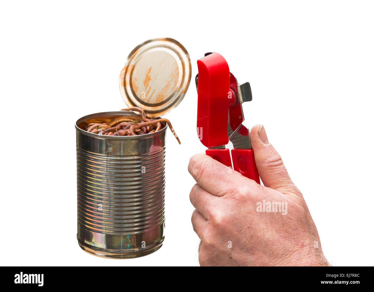 can of worms concept image opened on isolated white background with can opener held in hand Stock Photo