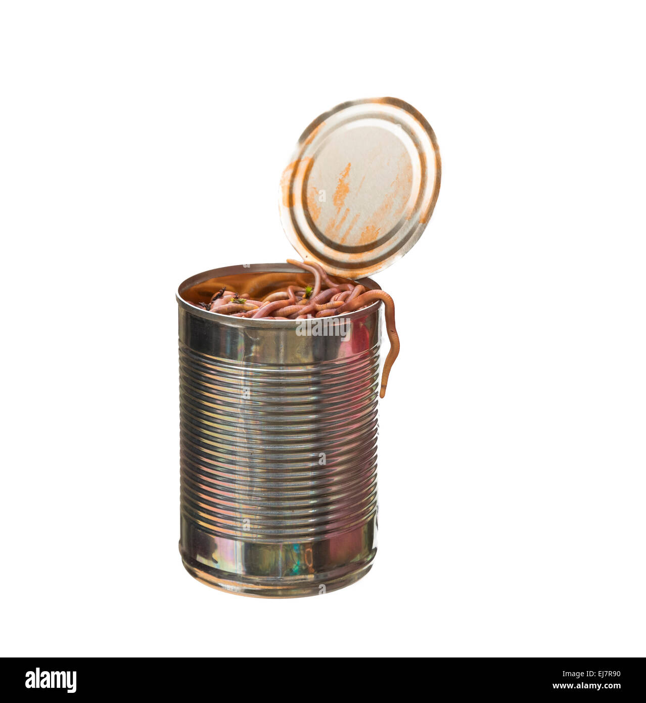 can of worms concept  opened on isolated white background Stock Photo