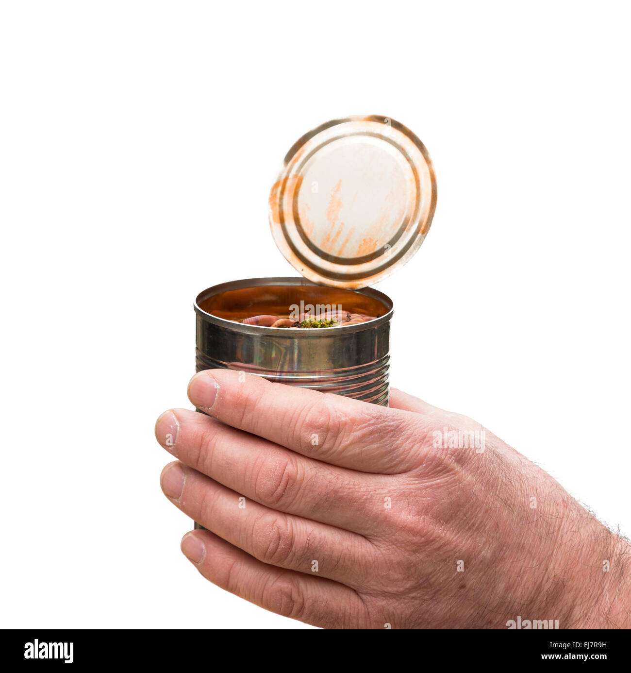 can of worms concept image opened on isolated white background with tin can held in hand Stock Photo