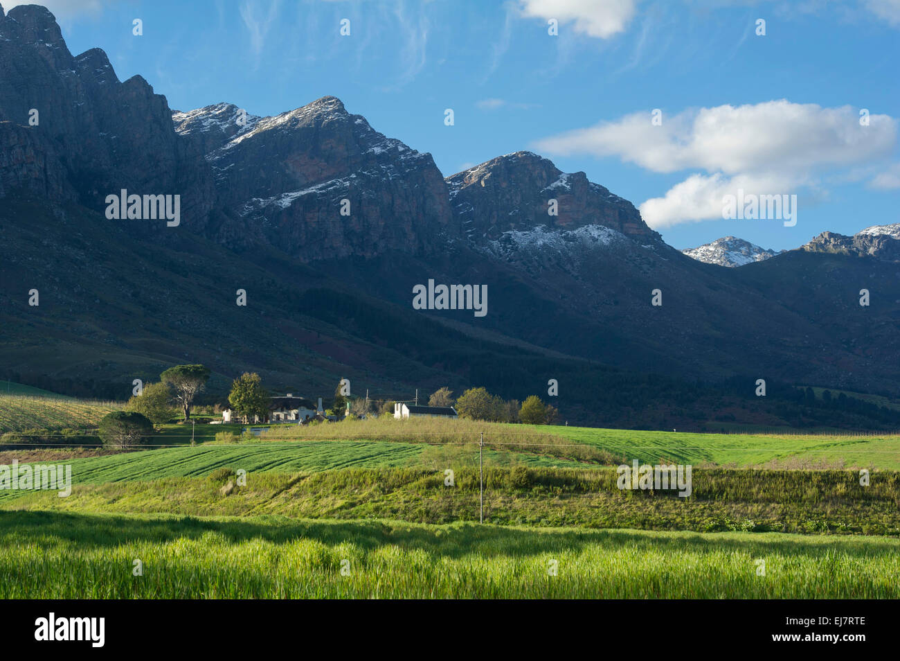 Farmland at the base of the Winterhoek Mountains, Tulbagh, South Africa Stock Photo