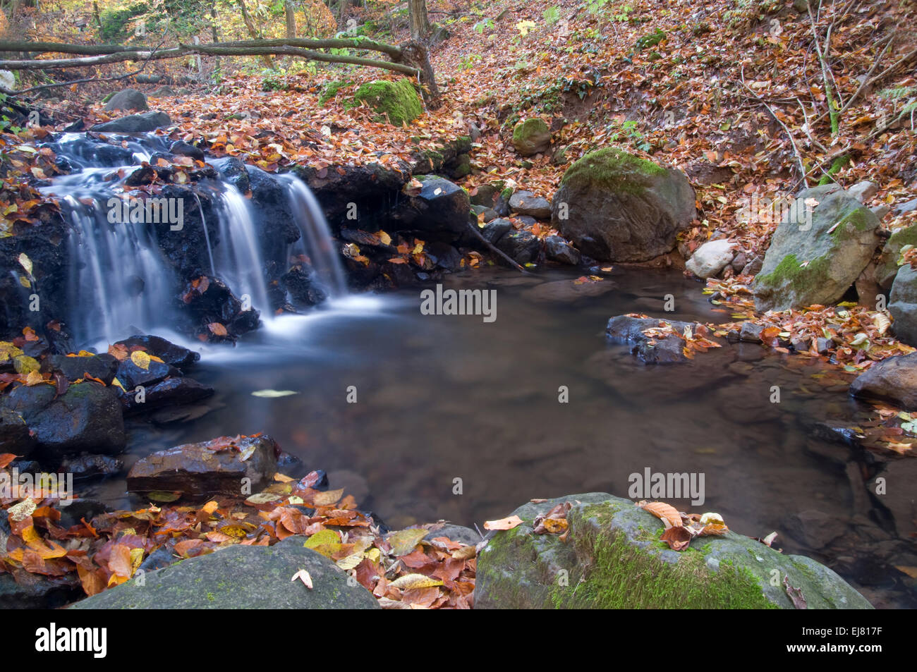 stream flowing among stones Stock Photo - Alamy