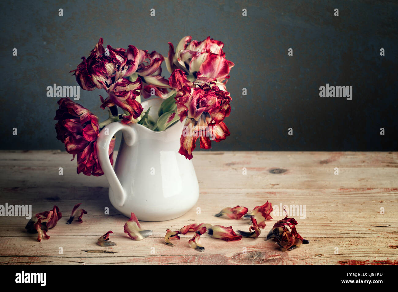 Still Life with Tulips Stock Photo