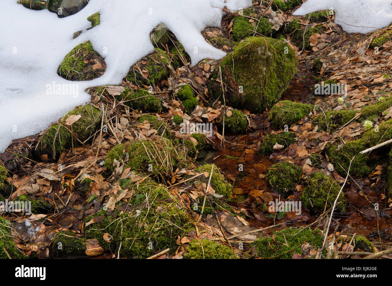 Rocks covered with moss surrounded by snow Stock Photo - Alamy