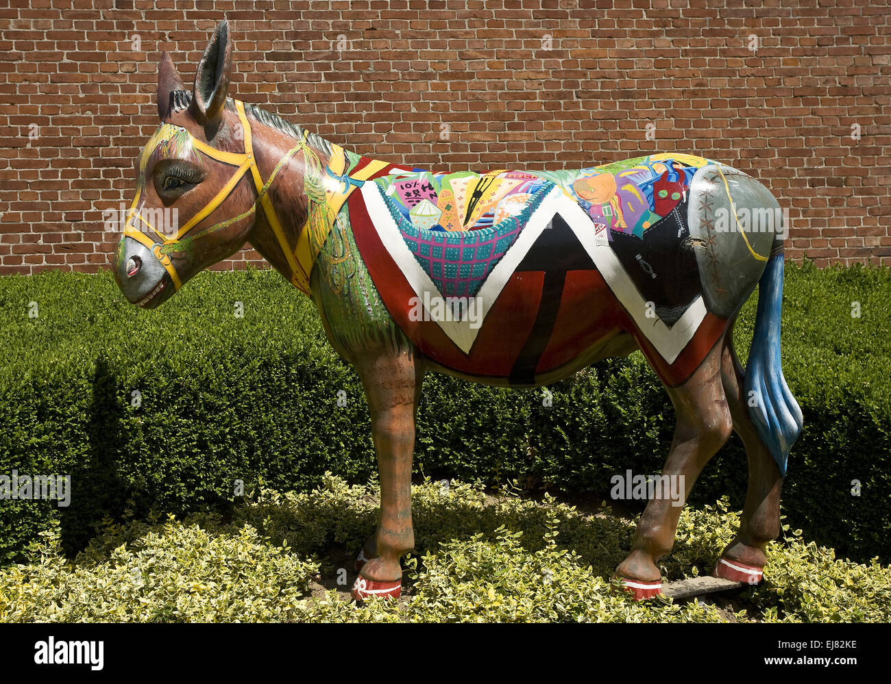Painted donkey, Wesel, Germany Stock Photo Alamy