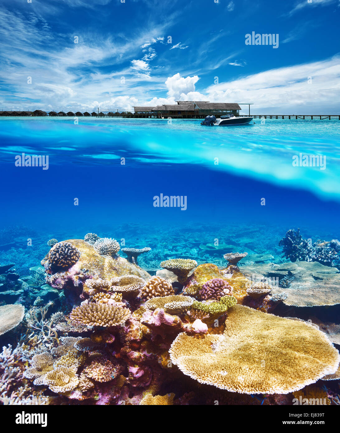 Underwater boat jetty hi-res stock photography and images - Alamy