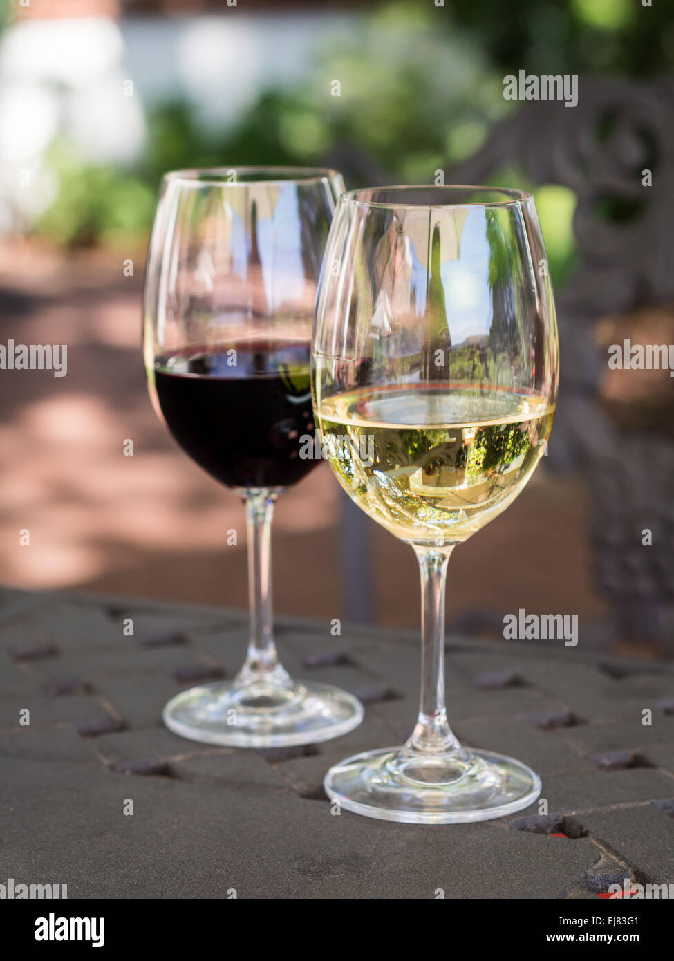 White and red South African wines in wine glasses on a garden table