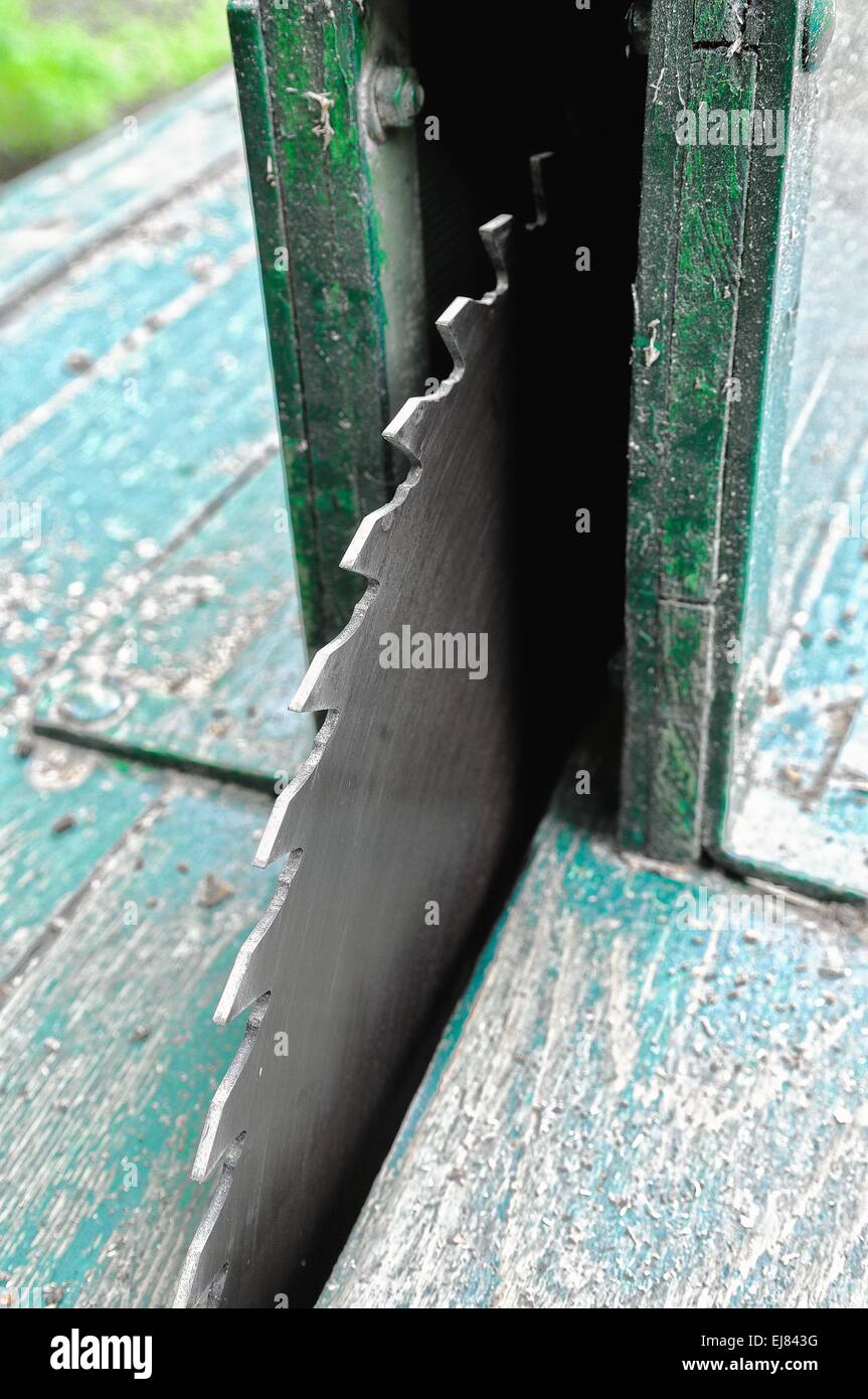 Saw blade in wood circular saw Stock Photo