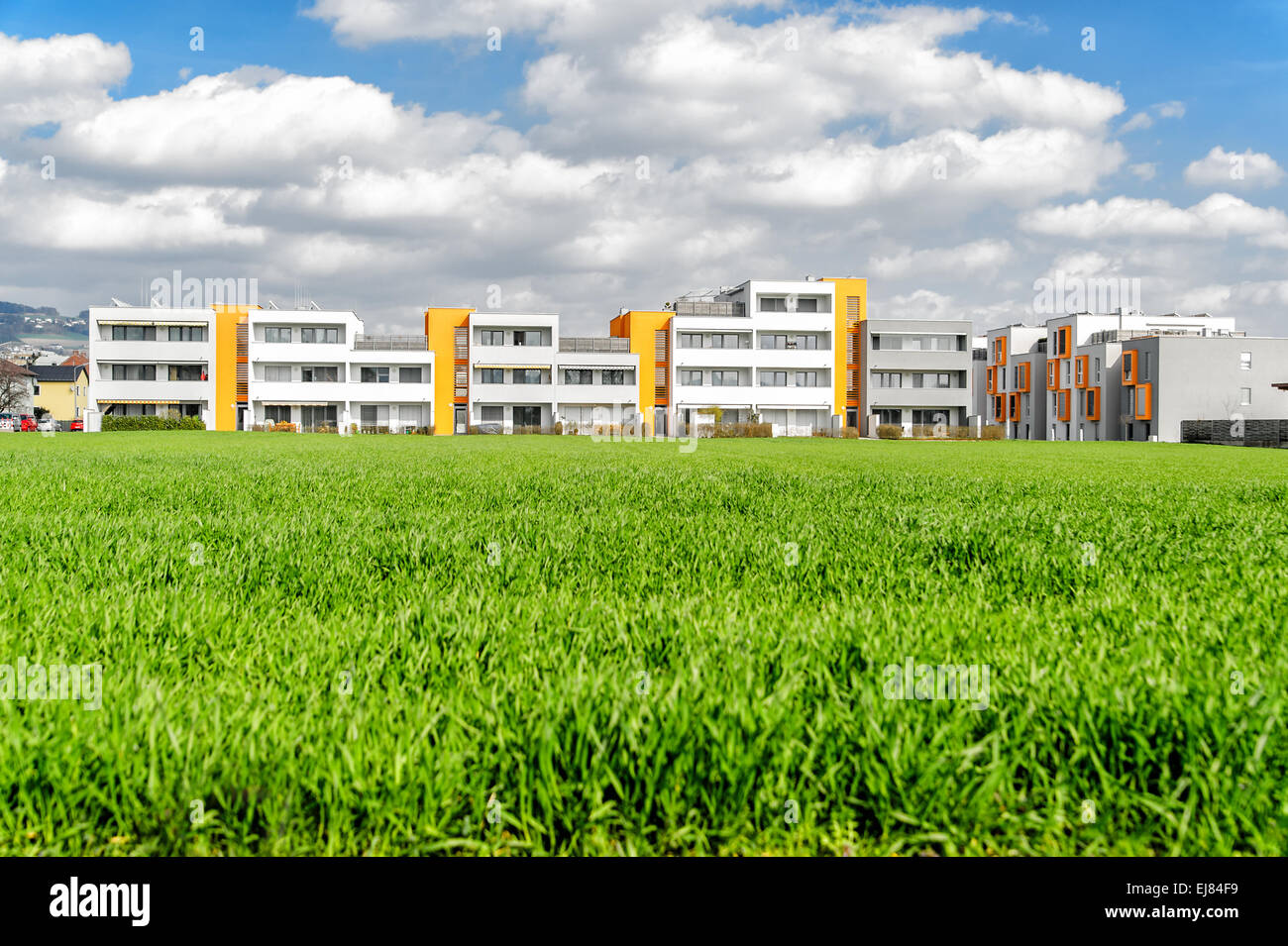 Housing estate in a summer setting Stock Photo Alamy