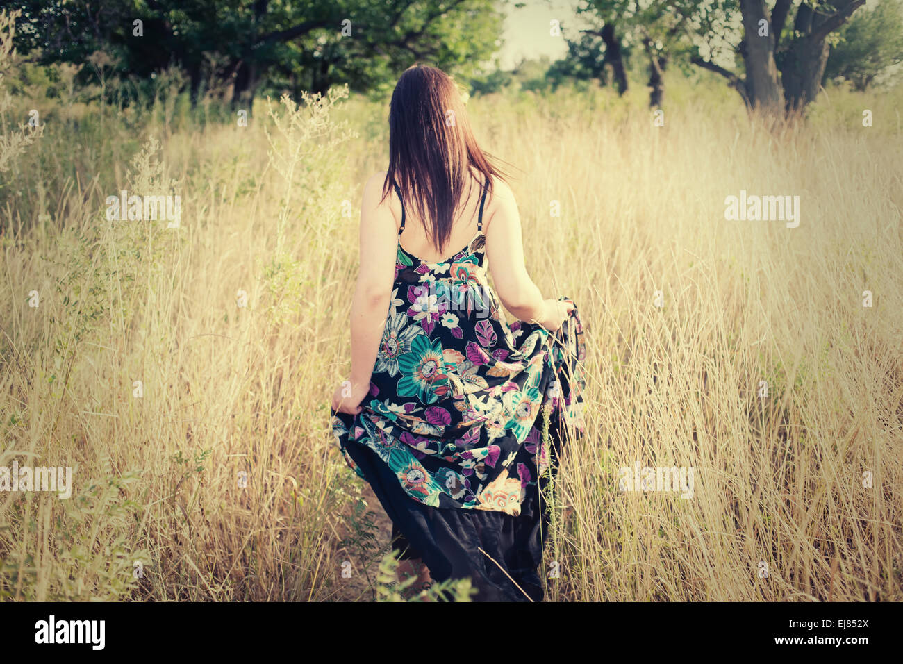 Women rear view hair color hi-res stock photography and images - Alamy