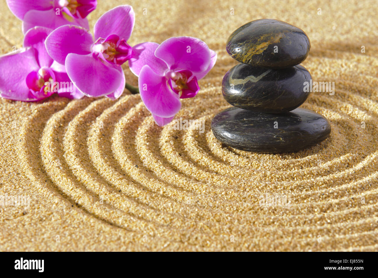 Japanese ZEN garden in sand Stock Photo Alamy