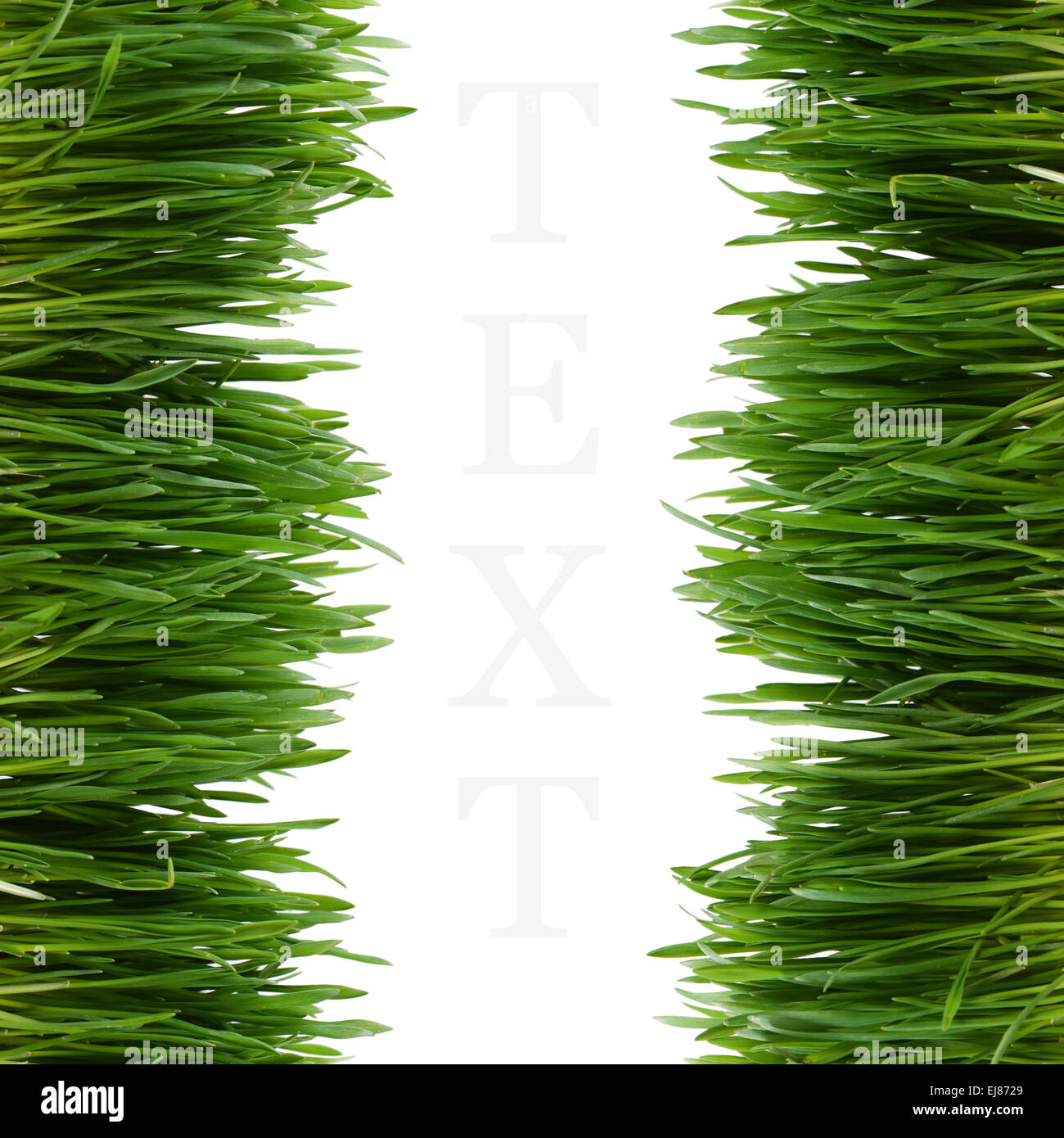 Green grass isolated on white background Stock Photo - Alamy