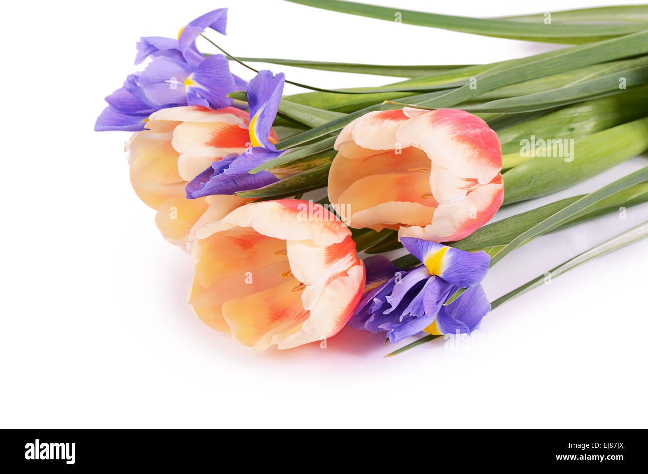 Spring flowers isolated on white background Stock Photo - Alamy