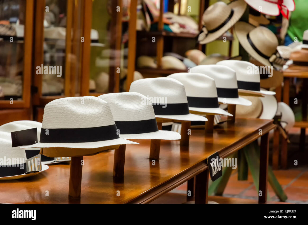 Panama hats Stock Photo