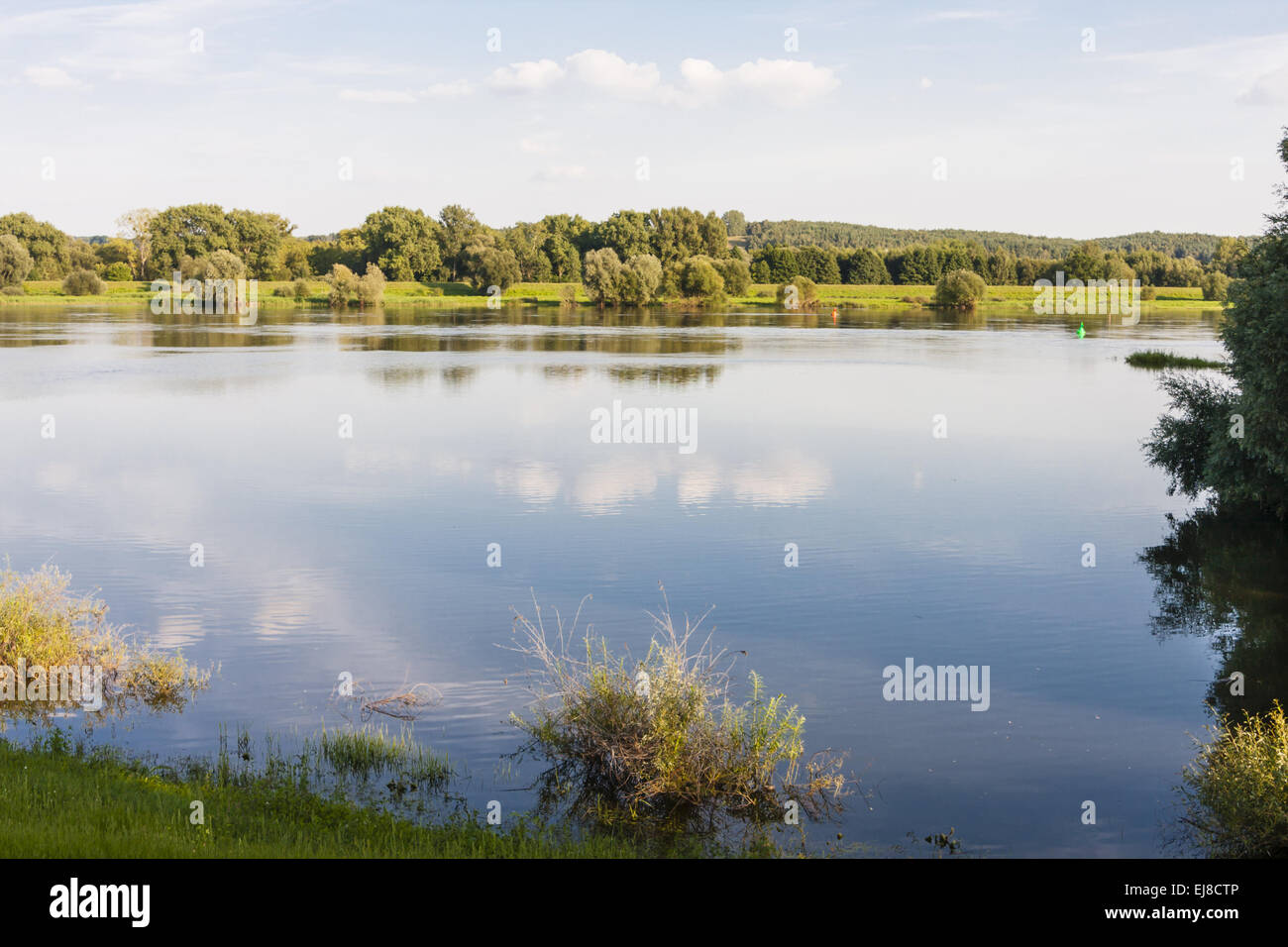 River Oder between Germany and Poland Stock Photo