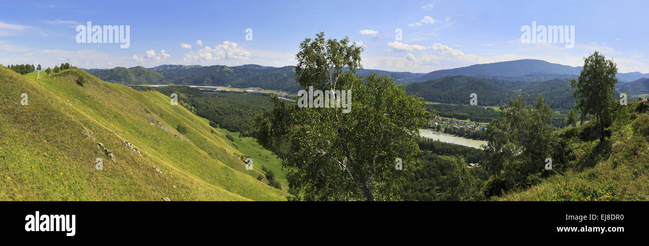 Summer panorama of the Katun river. Altai. Stock Photo