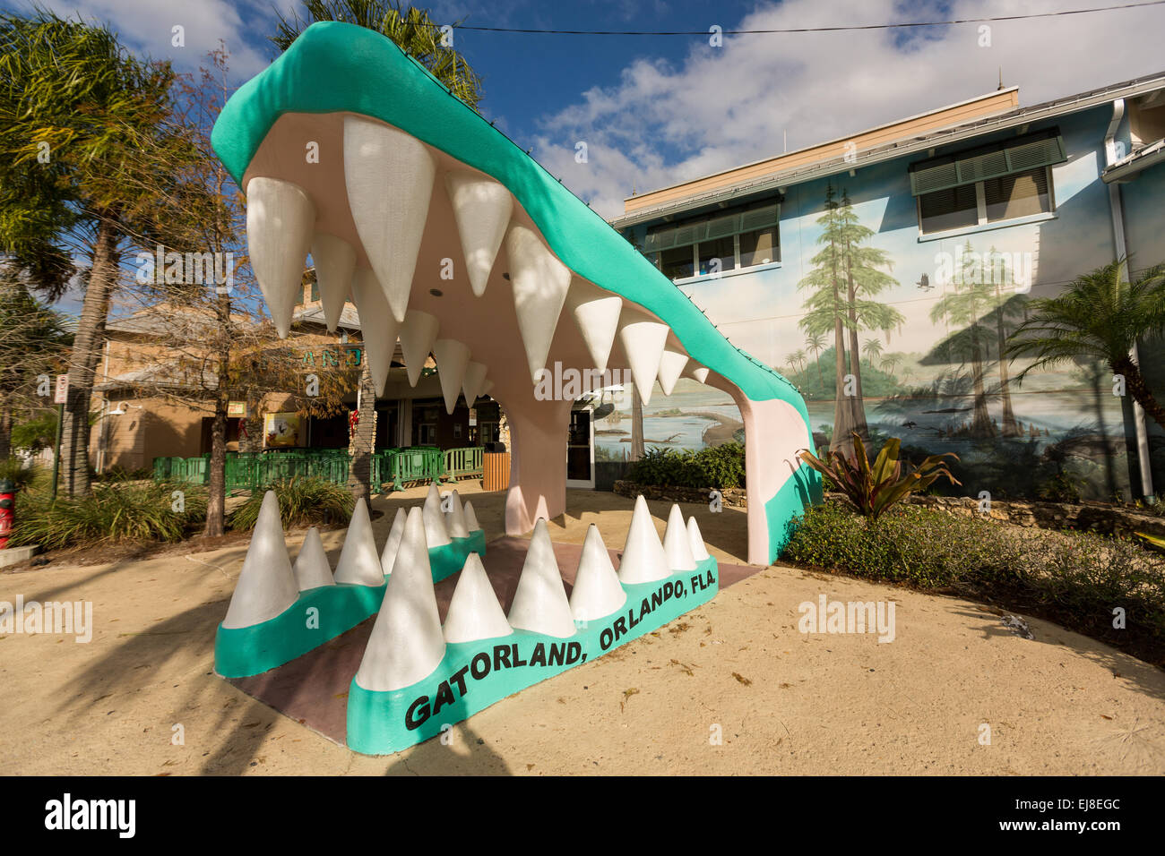 Gatorland orlando hi-res stock photography and images - Page 2 - Alamy