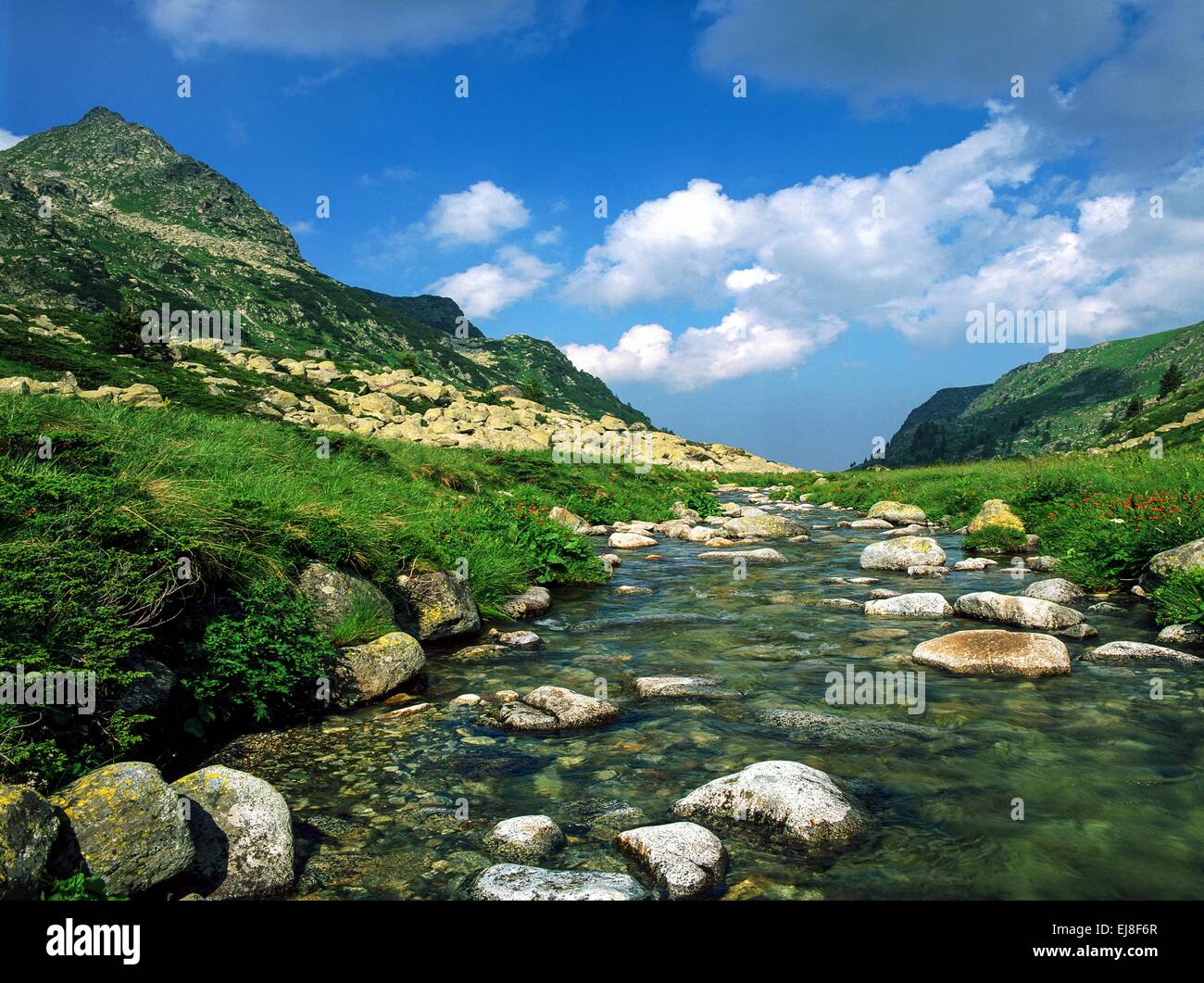 Tranquil bistrica river,Rila mountain,Bulgaria Stock Photo