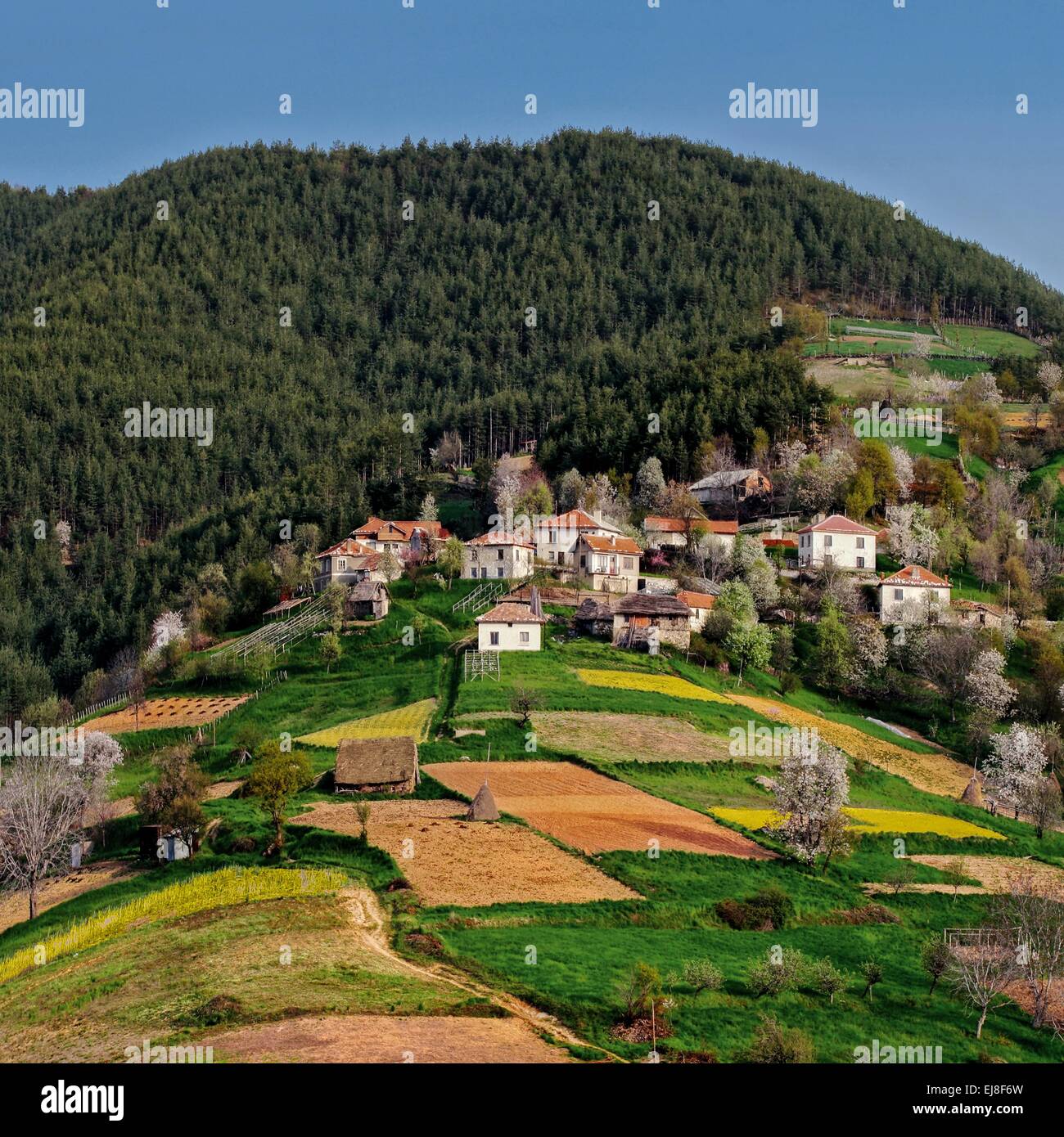 Village in Rodopi mountain,Bulgaria Stock Photo