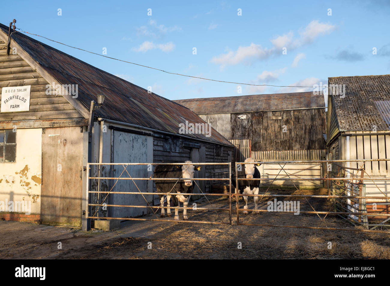 Fairfields Farm Wiltshire Stock Photo