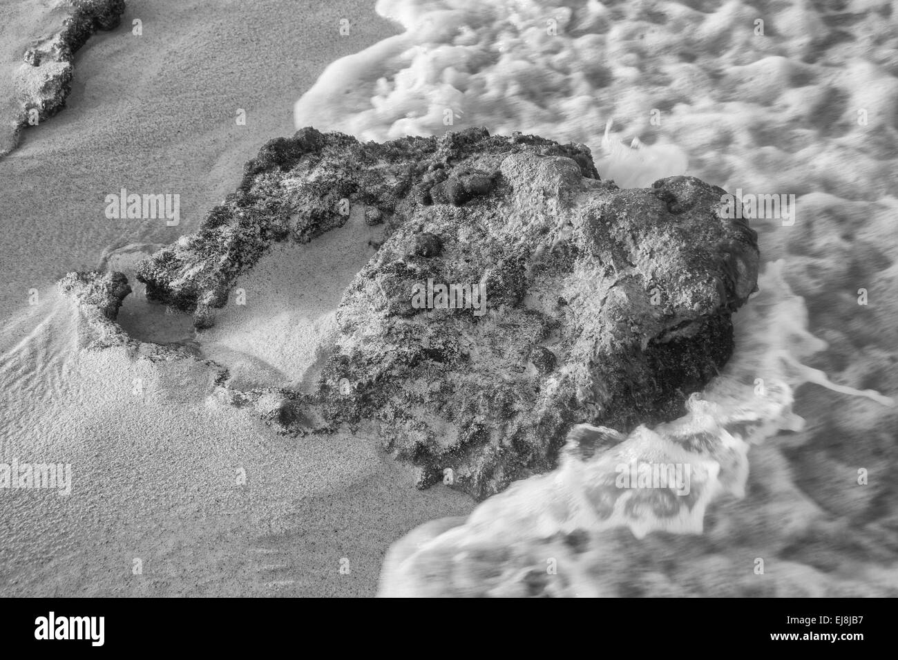 Isla Mujeres Shore Detail Stock Photo