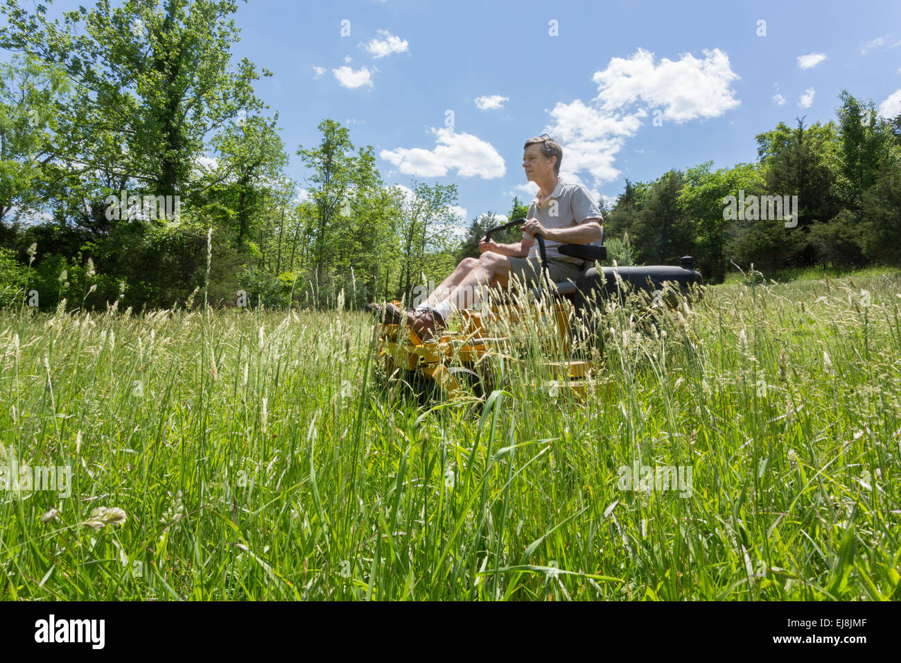 Senior man on zero turn lawnmower in meadow Stock Photo