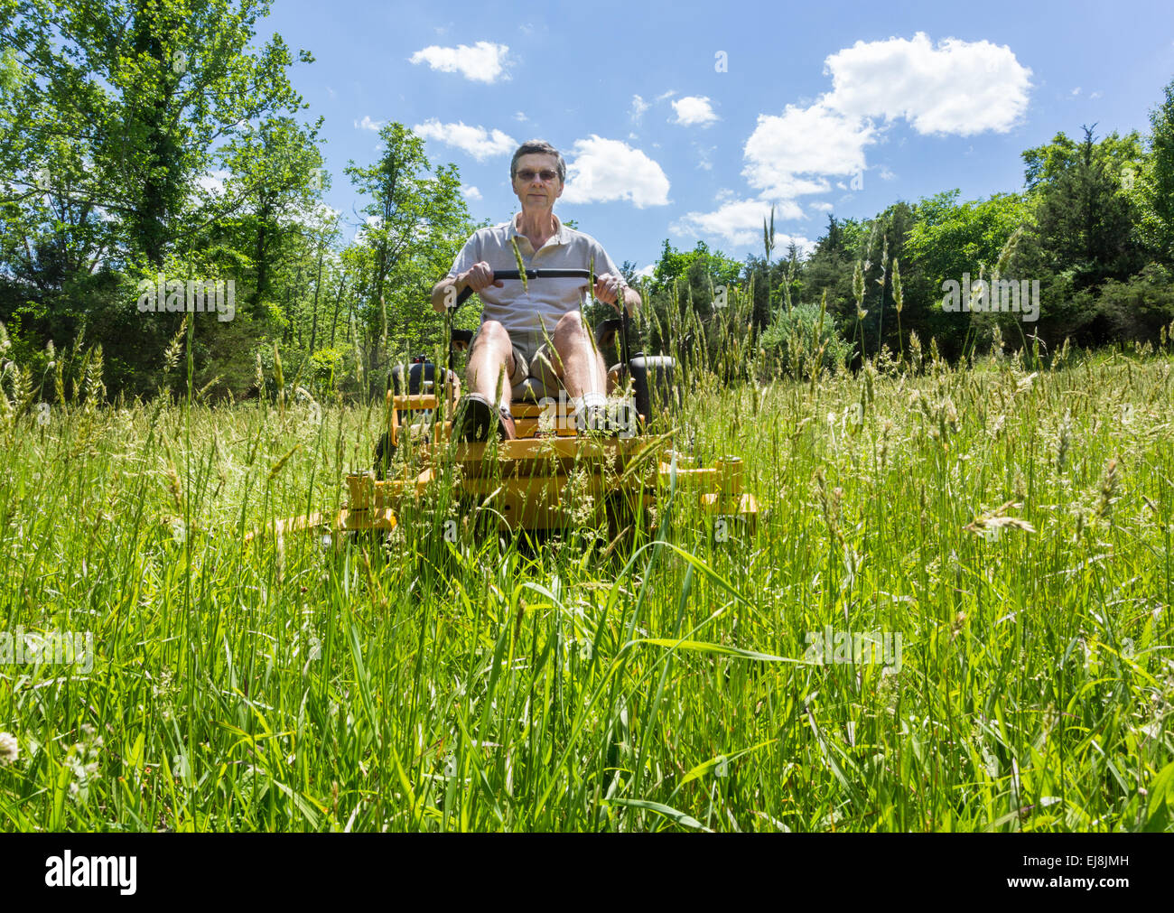 Senior man on zero turn lawnmower in meadow Stock Photo