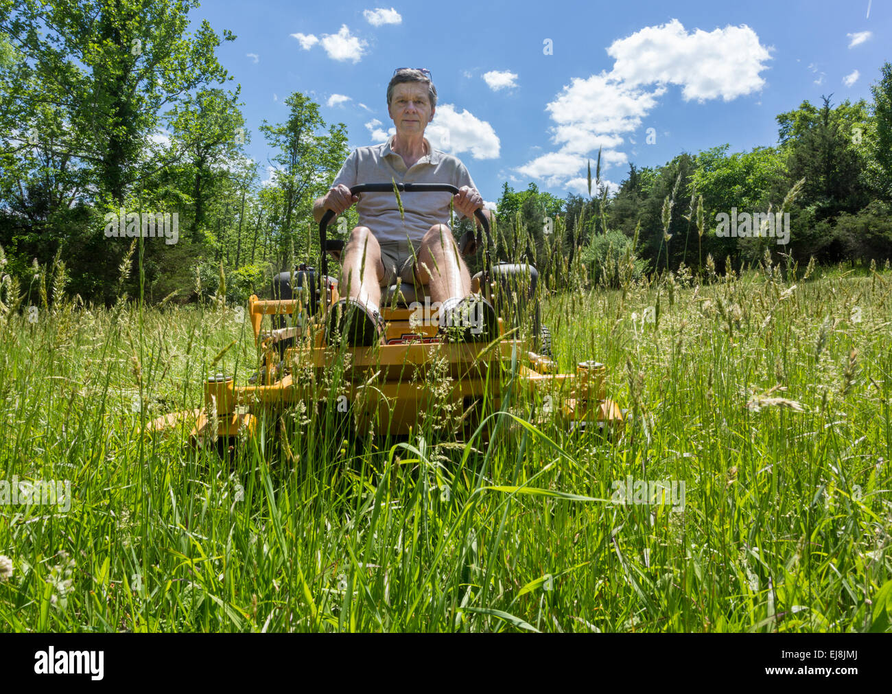 Senior man on zero turn lawnmower in meadow Stock Photo