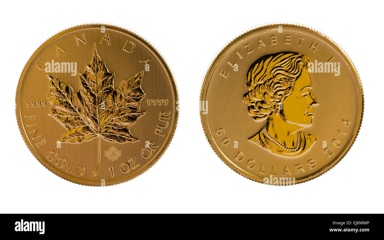 Canadian Gold Maple Leaf one ounce coin Stock Photo Alamy