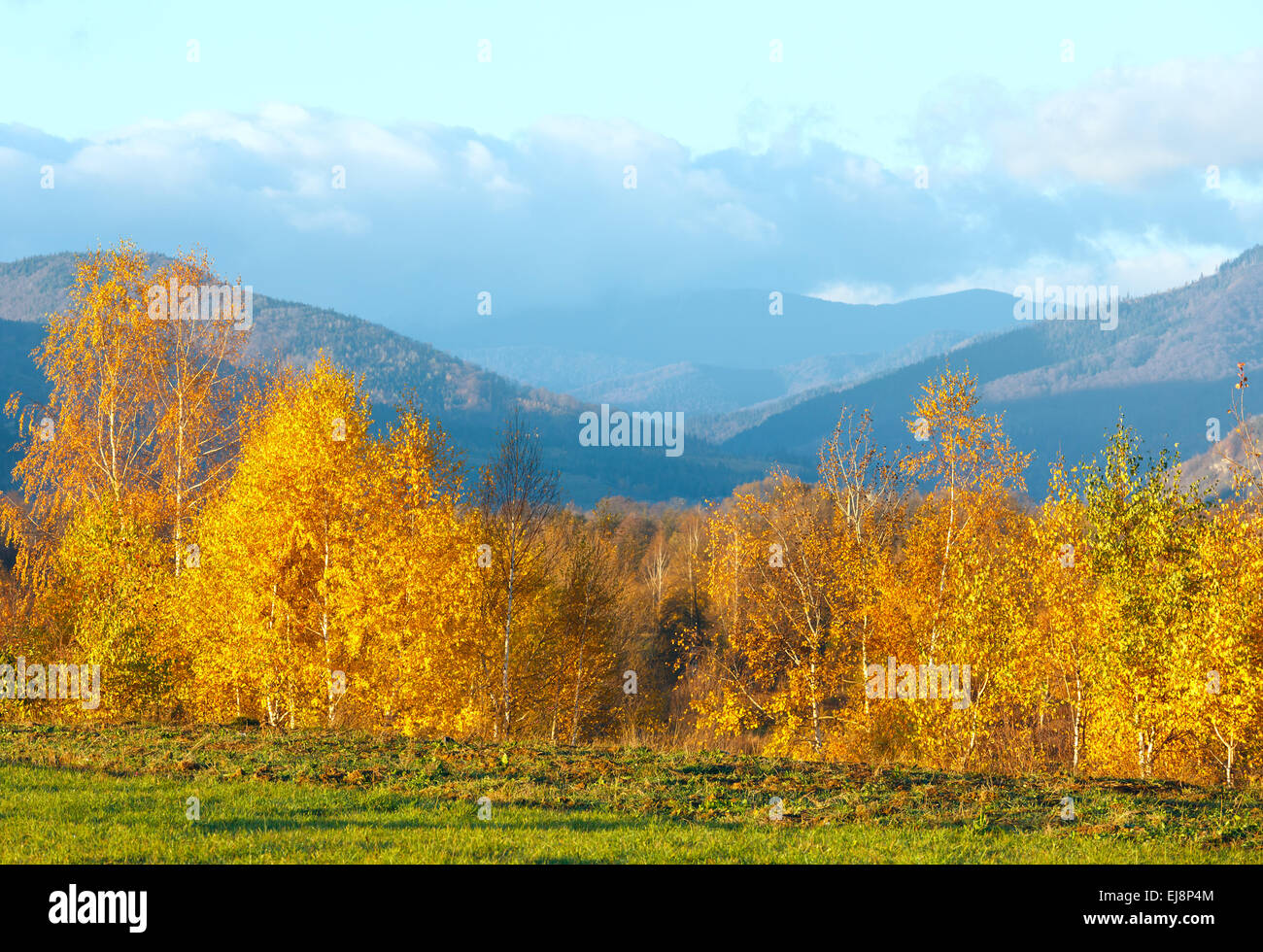 Morning Carpathian mountain autumn landscape Stock Photo - Alamy