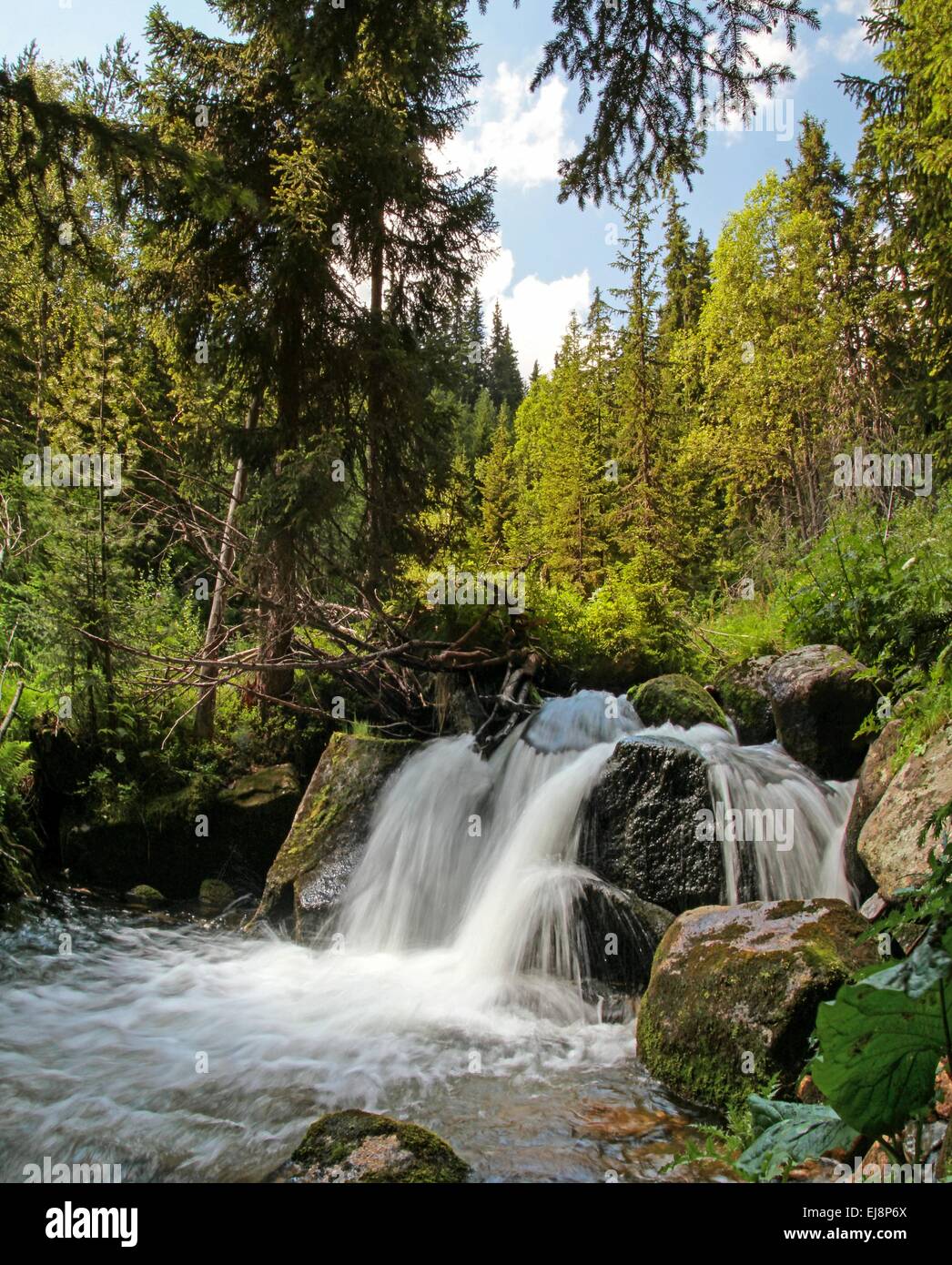 Small waterfall in Rila mountain, Bulgaria Stock Photo