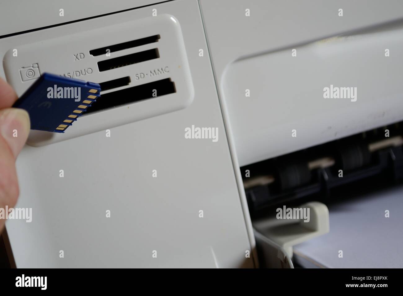 Person inserts the SD card into card reader Stock Photo Alamy
