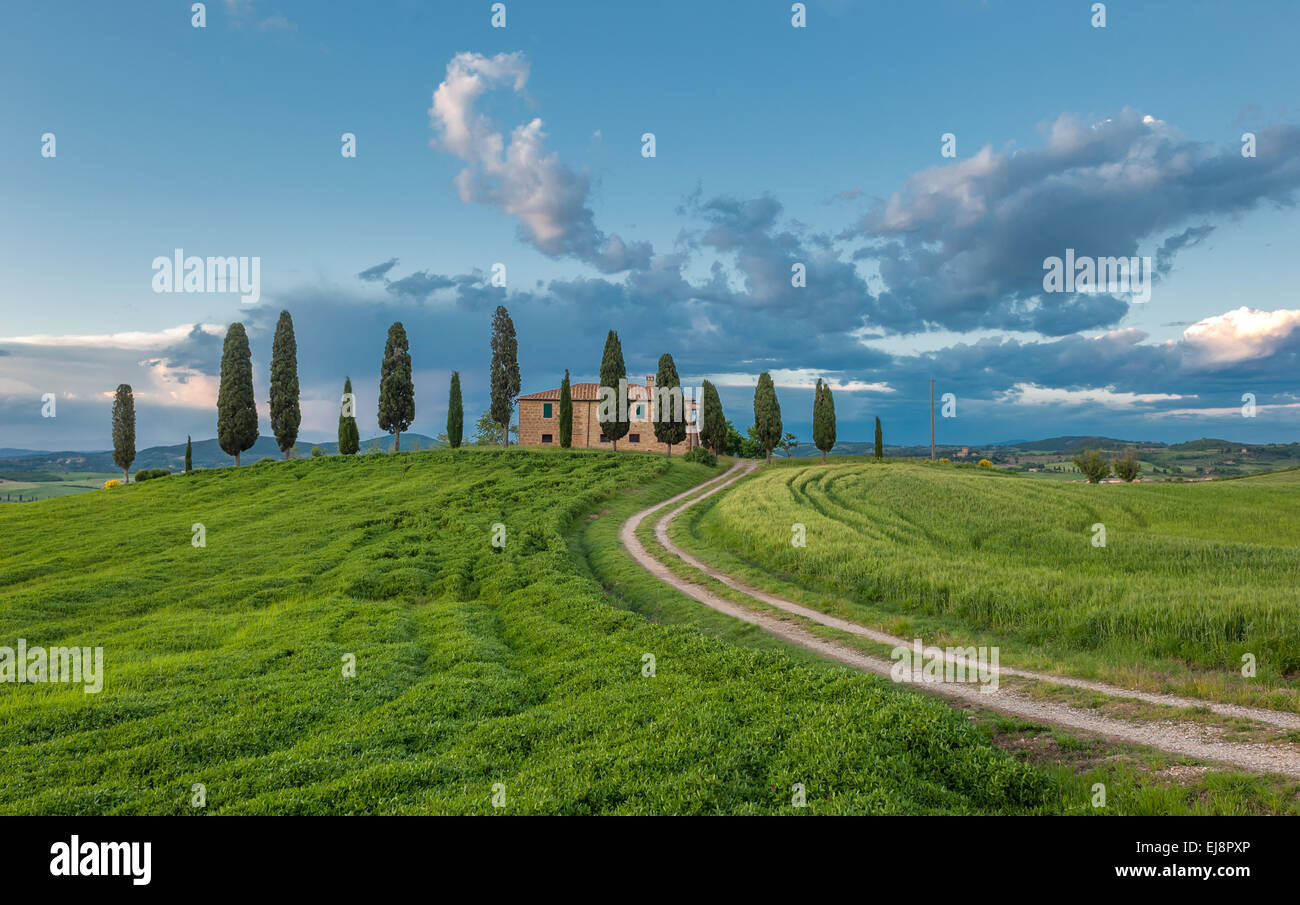 typical tuscan landscape Stock Photo - Alamy