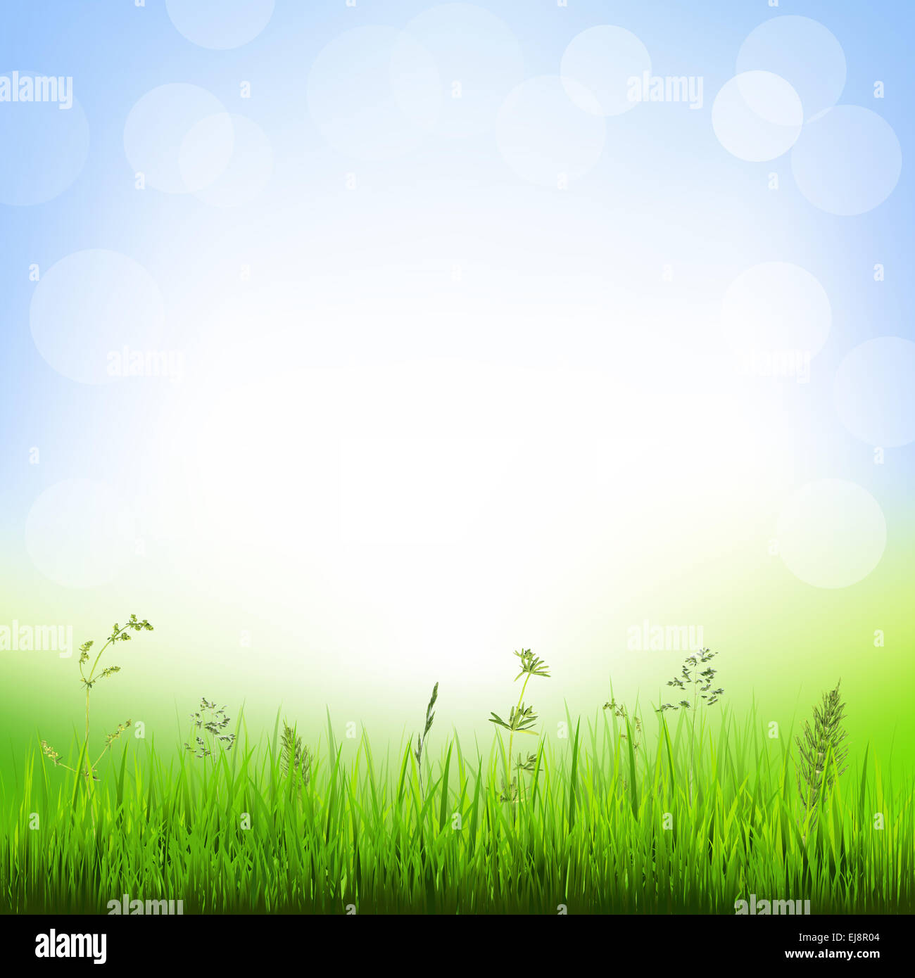 Grass blank border hi-res stock photography and images - Alamy