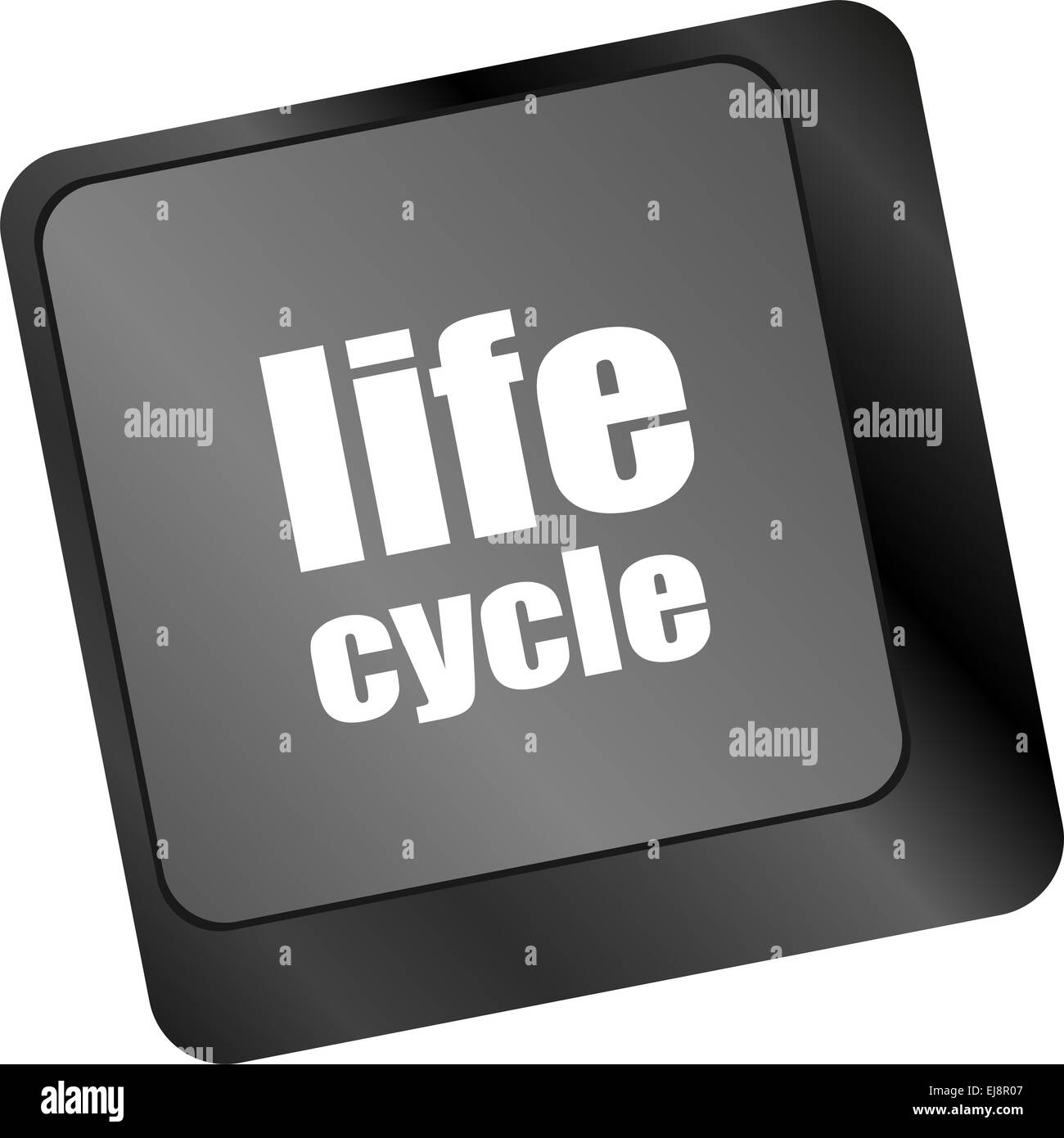 life cycle on laptop keyboard key Stock Photo Alamy