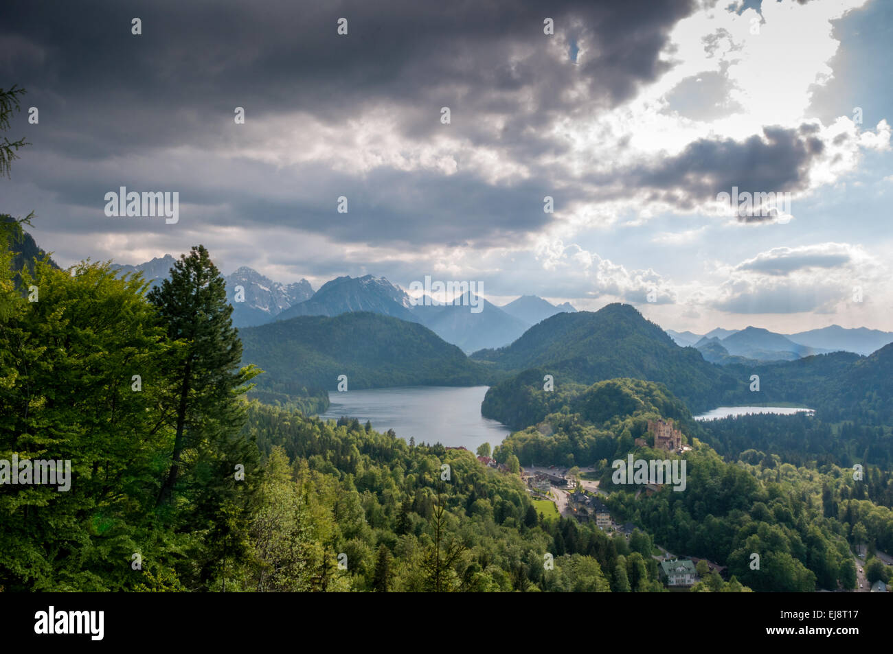 majestic mountain landscape with forest and lake Stock Photo - Alamy