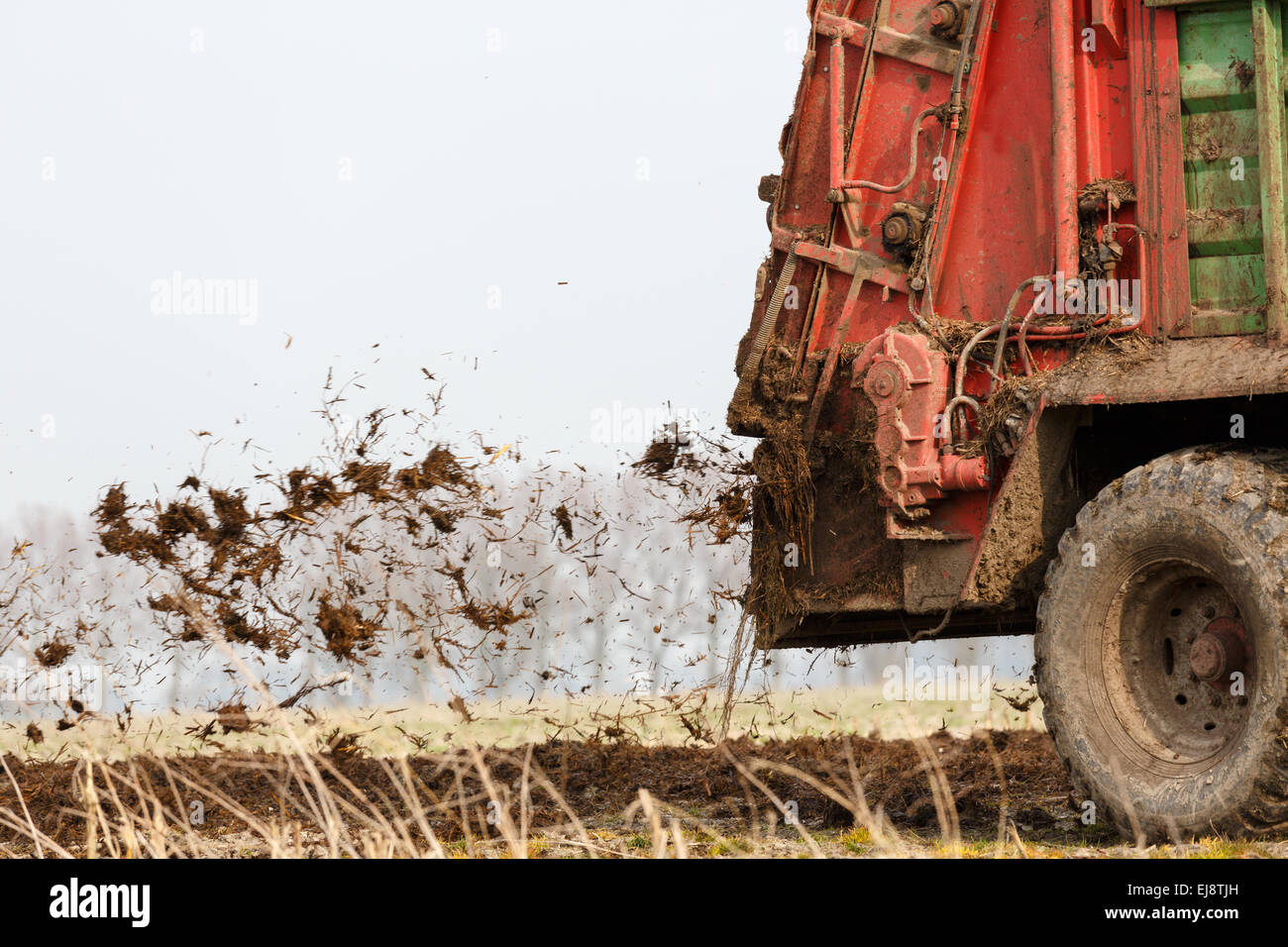 Manure spreader in use Stock Photo Alamy