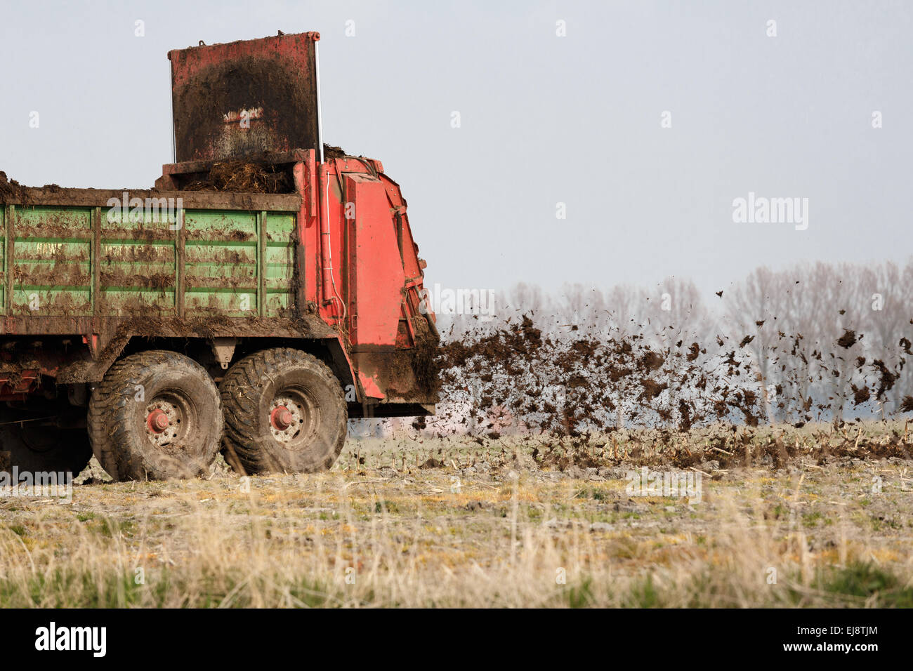 Manure spreader in use Stock Photo Alamy