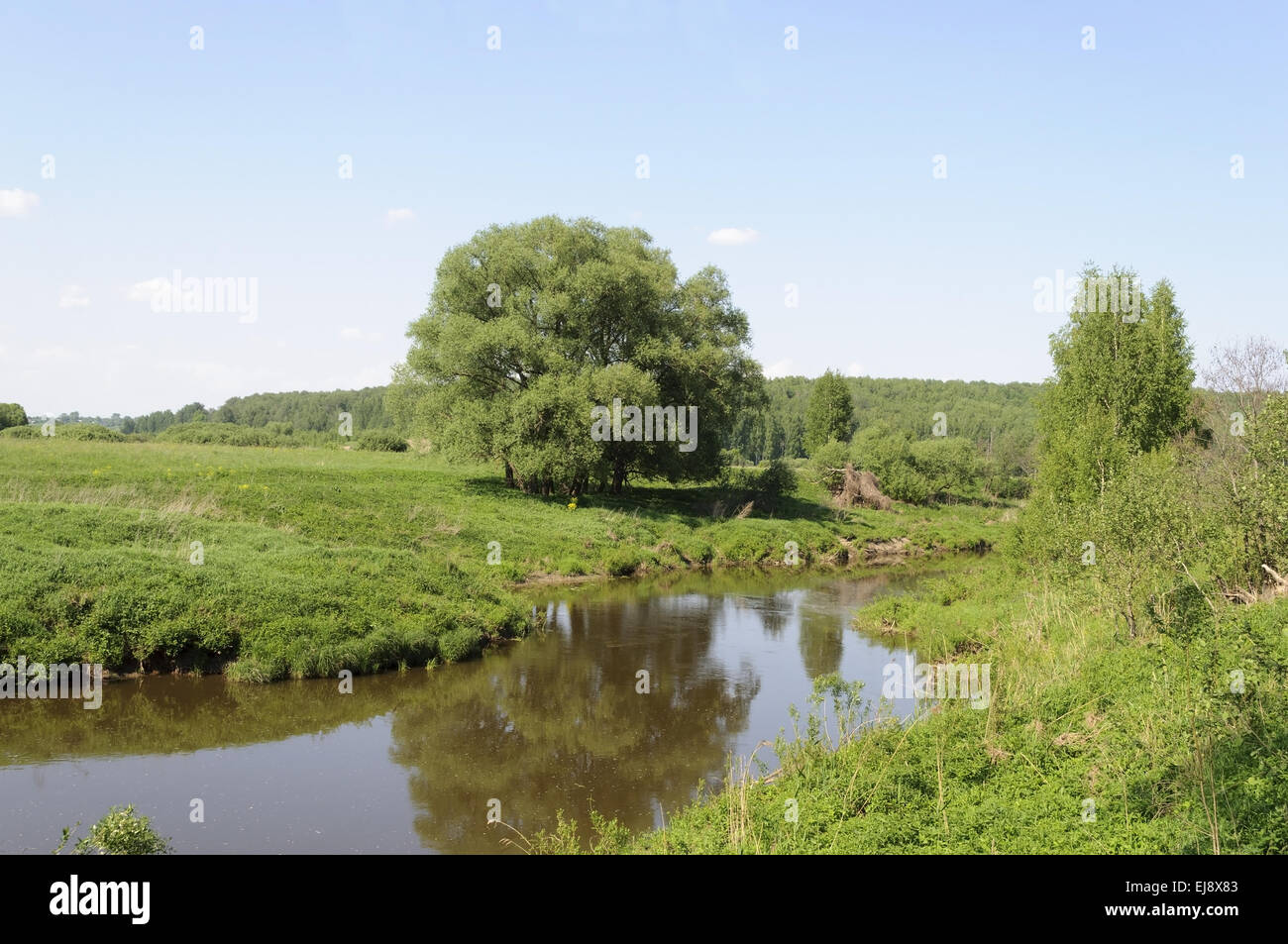 River landscape in spring time Stock Photo