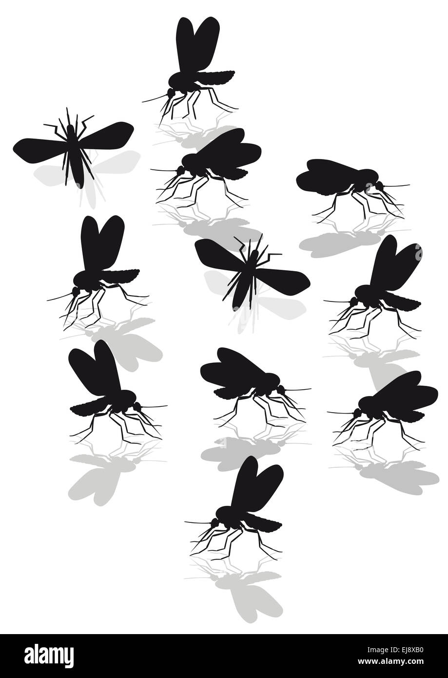 mosquitoes plague Stock Photo