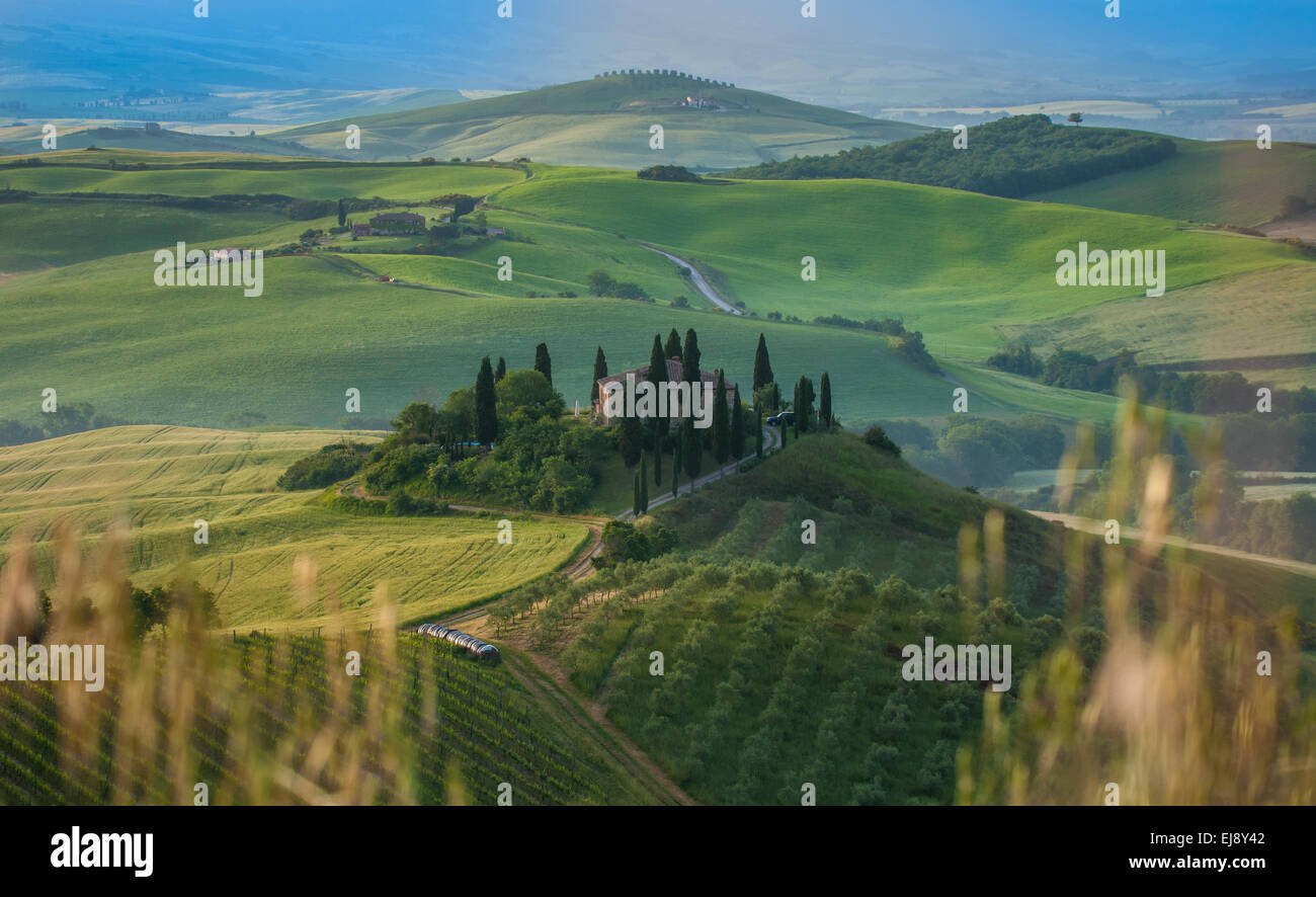 typical tuscan landscape Stock Photo - Alamy