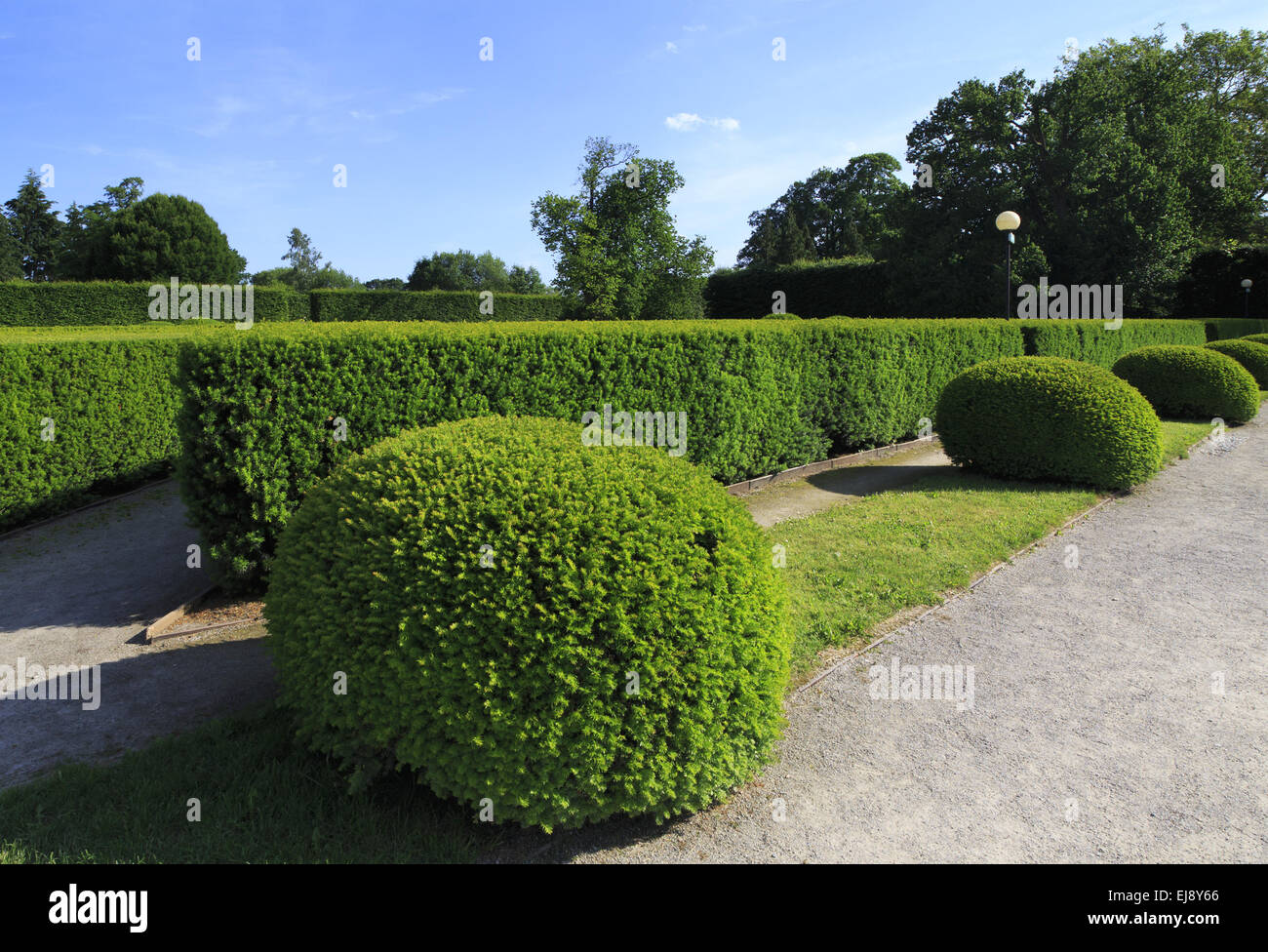 Various forms of shrubbery clippers Stock Photo - Alamy