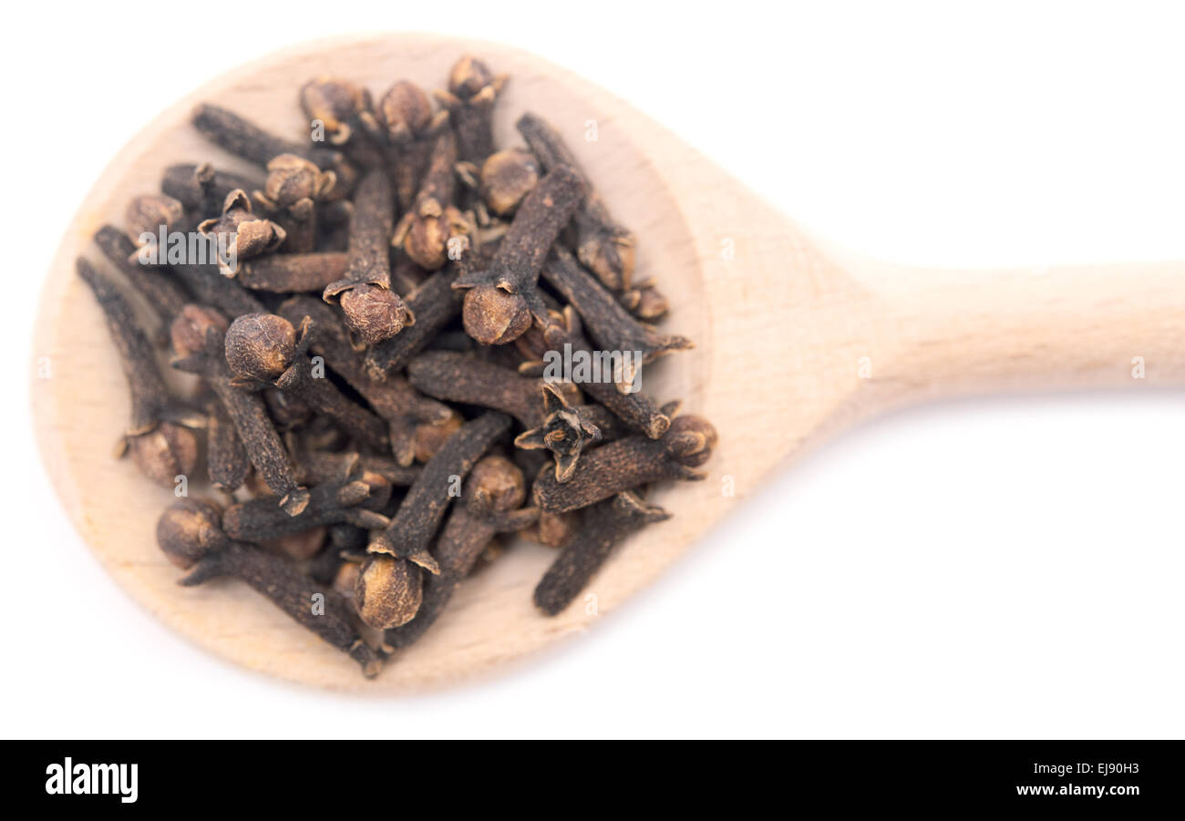 Carnation of india hires stock photography and images Alamy