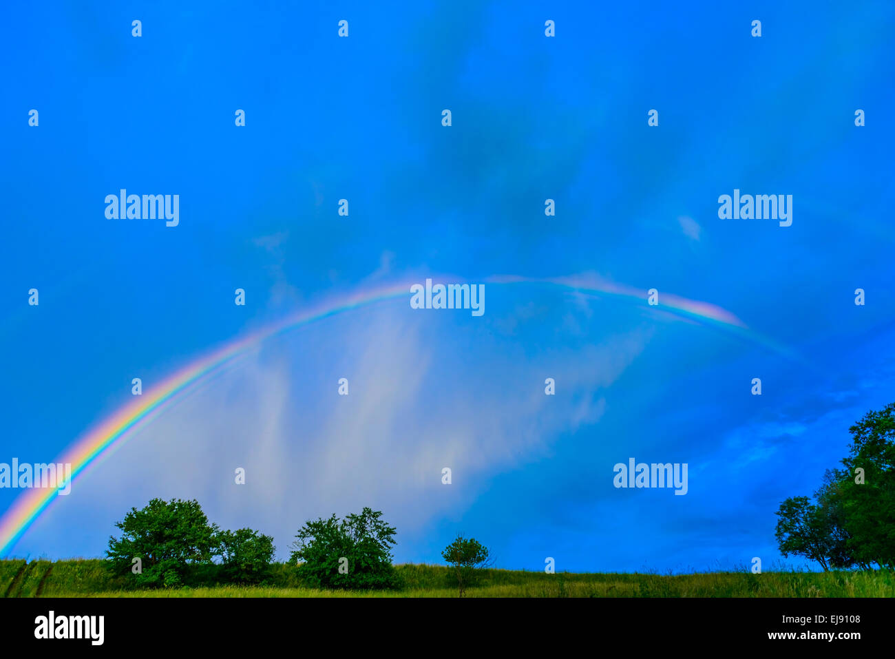 rainbow in a blue sky after the rain Stock Photo - Alamy