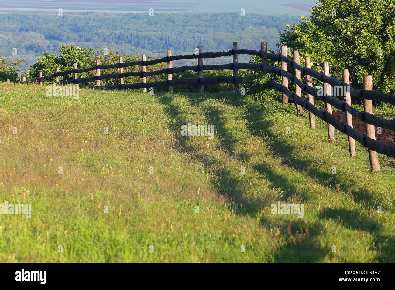 Wooden fence, paddock, Austria Stock Photo