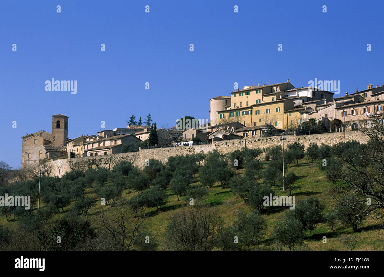 italy, umbria, montefalco Stock Photo - Alamy
