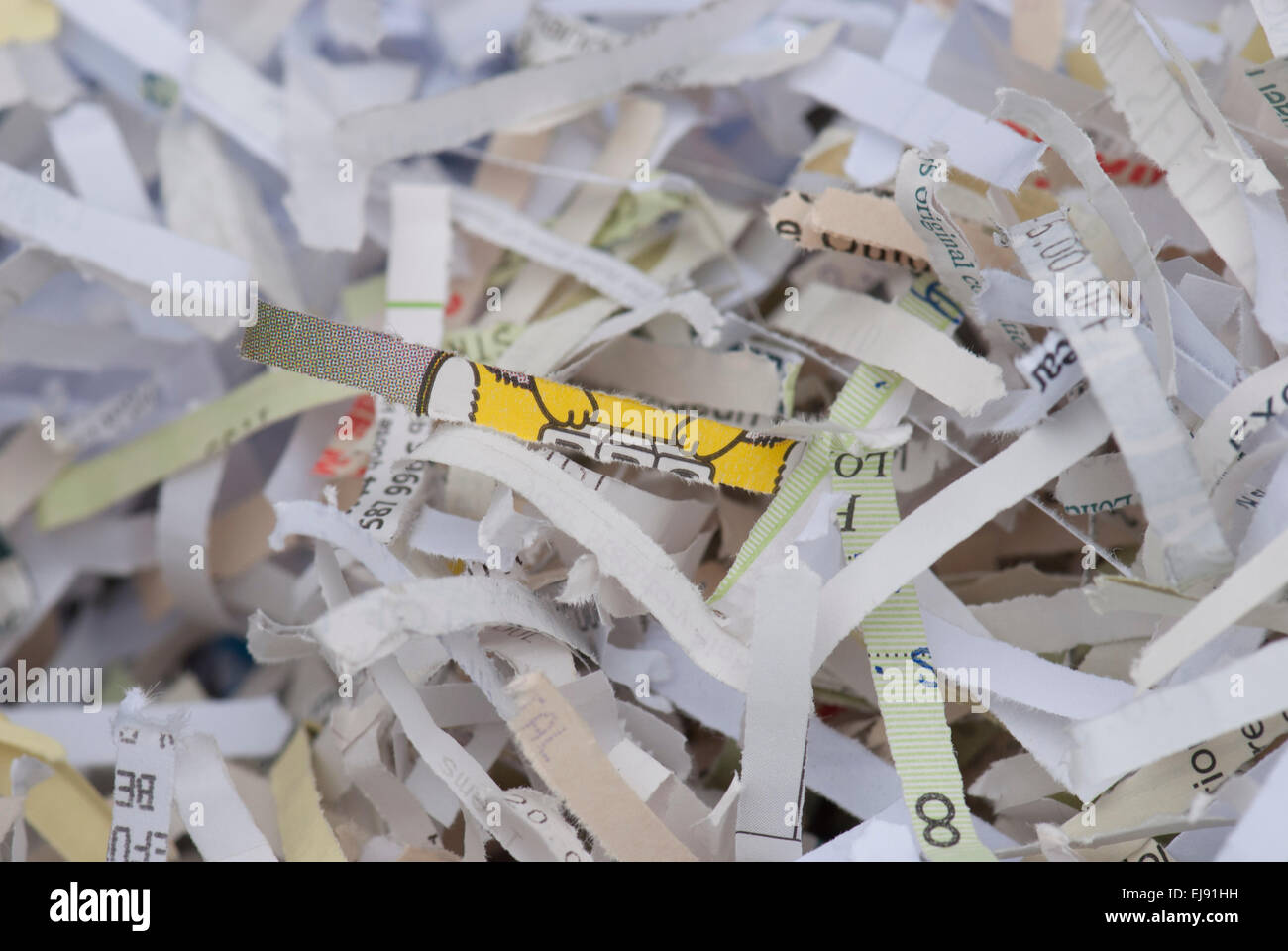 Shredding documents, receipts, personal papers Stock Photo